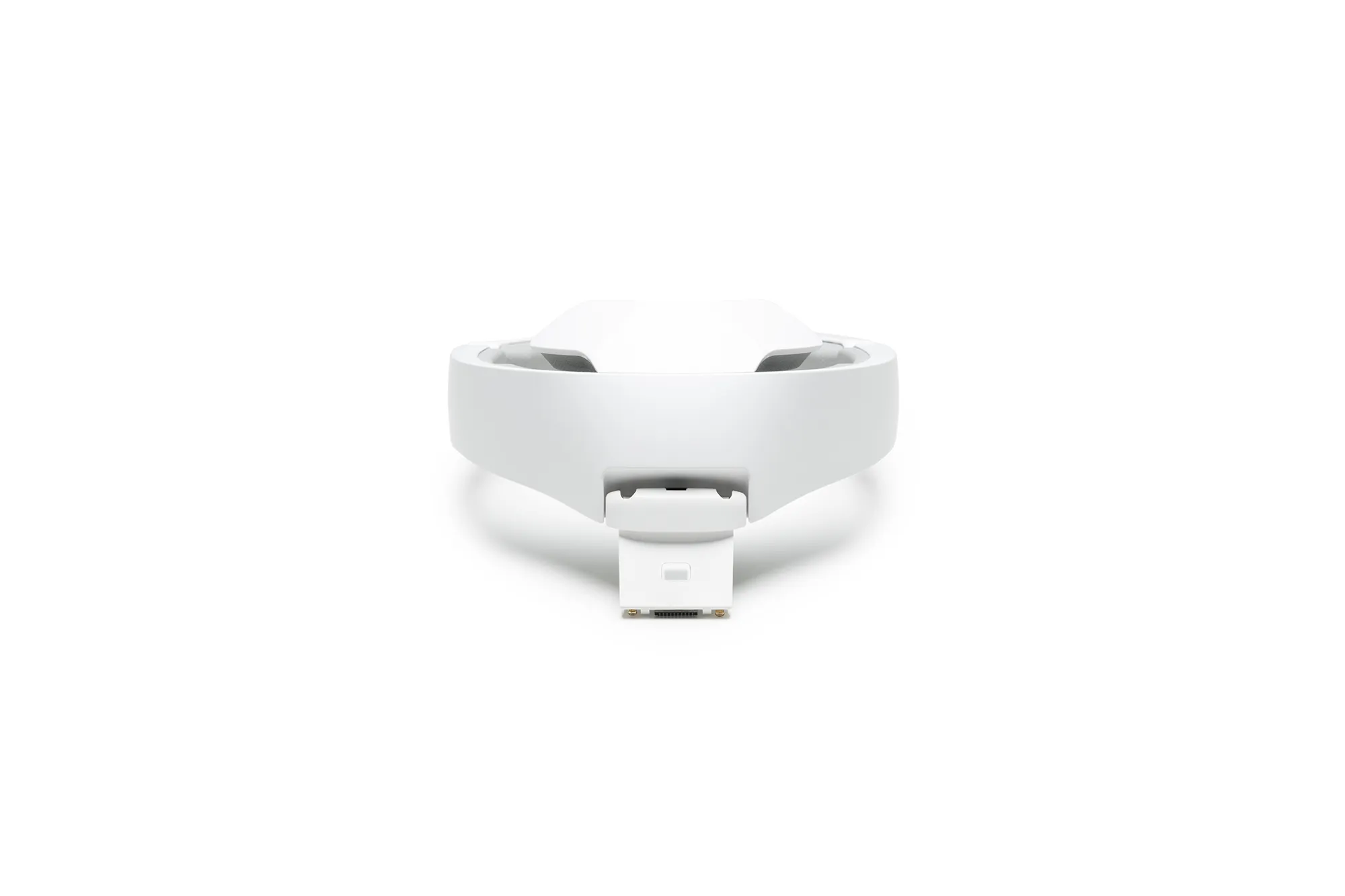 DJI Goggles