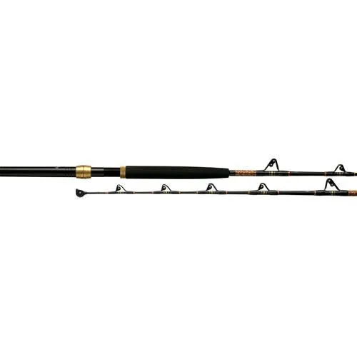 International V Standup Casting Rod - 6' Length, 1 Piece Rod, 30-80 lb Line Rating, Heavy Power, Moderate Fast Action