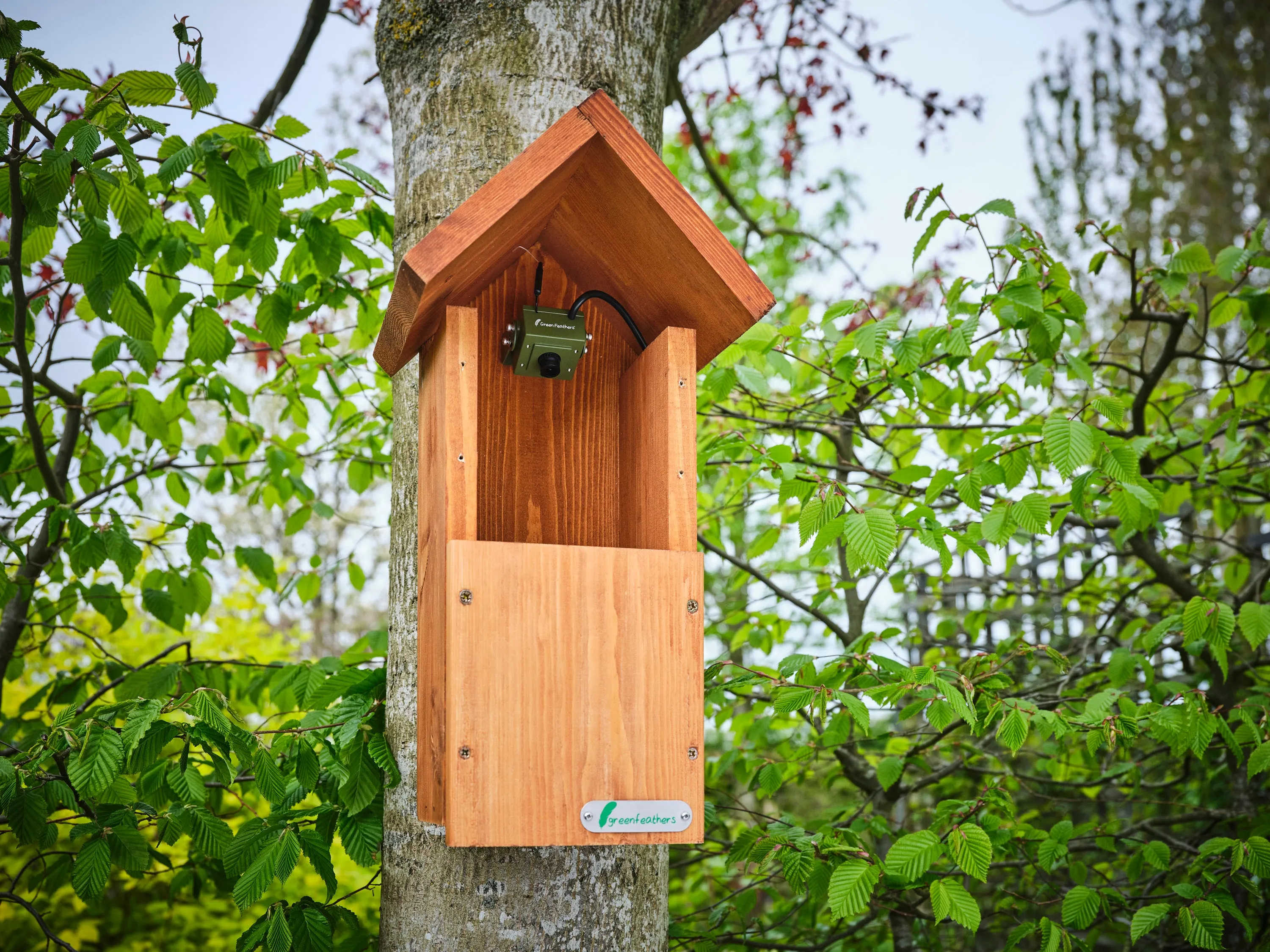 WiFi Bird Box & Wildlife Habitat HD Camera